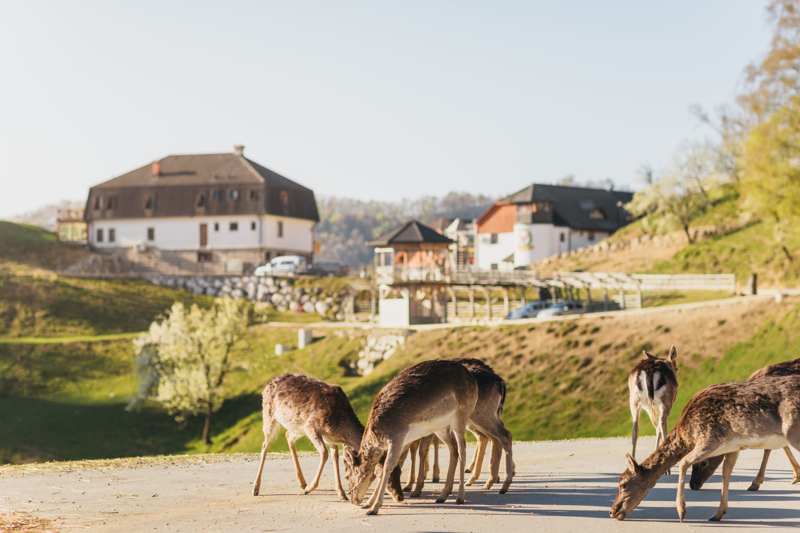 Retreat Zaživi v svoji koži